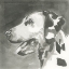 Picture of A VERY NEUTRAL MODERN DOG V