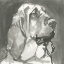 Picture of A VERY NEUTRAL MODERN DOG VII