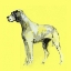 Picture of A VERY POP MODERN DOG IV