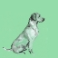 Picture of A VERY POP MODERN DOG V