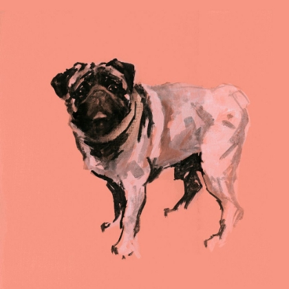 Picture of A VERY POP MODERN DOG VII