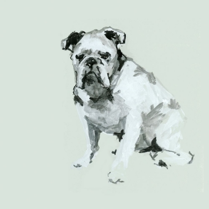 Picture of A VERY PASTEL MODERN DOG VI