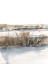 Picture of BLUE-GREY MARSH III
