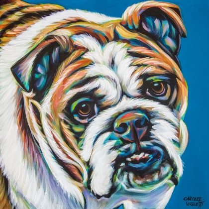 Picture of COLORFUL BULLDOG