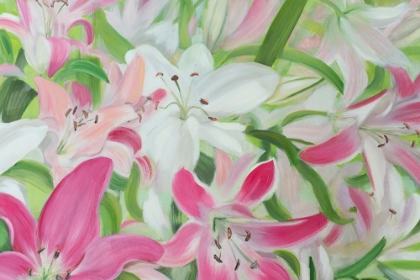Picture of PINK AND WHITE LILIES II