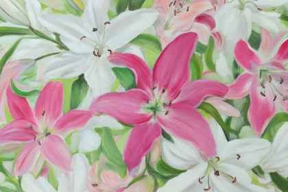 Picture of PINK AND WHITE LILIES III