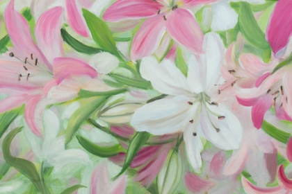 Picture of PINK AND WHITE LILIES IV