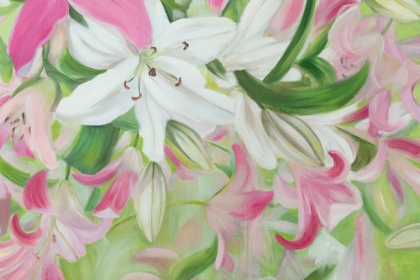 Picture of PINK AND WHITE LILIES V