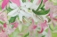 Picture of PINK AND WHITE LILIES V