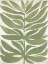 Picture of DRIFTWOOD PALM LEAF II