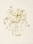 Picture of FADED FLOWER ARRANGMENT II