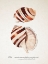 Picture of SIENNA SHELL COLLECTOR IV