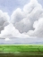 Picture of HAZY HORIZON I