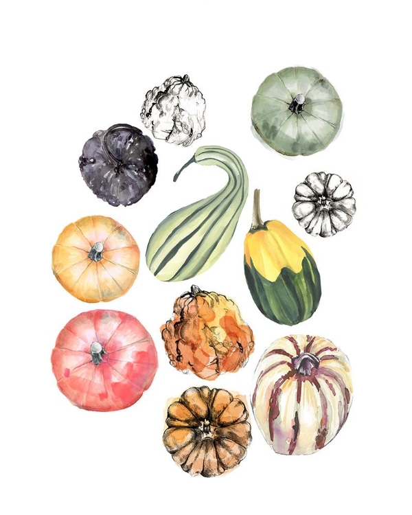 Picture of WATERCOLOR PUMPKINS II