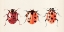 Picture of LADYBUG DISPLAY I