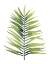 Picture of PALM WATER II