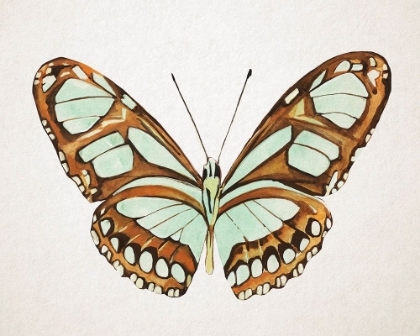 Picture of MINT BUTTERFLY I