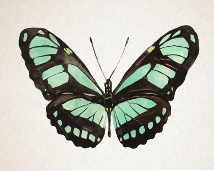 Picture of MINT BUTTERFLY II