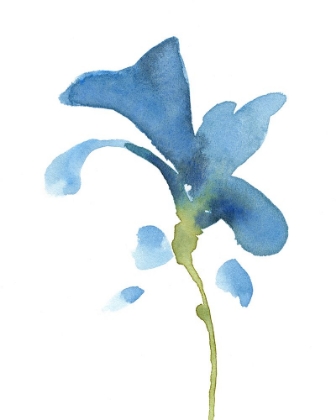 Picture of STRIKING BLUE IRIS V