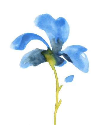 Picture of STRIKING BLUE IRIS VI