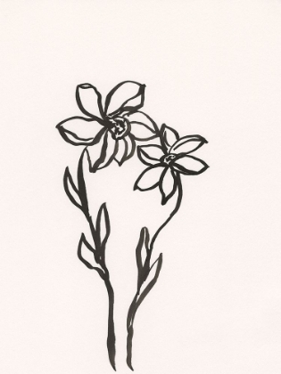 Picture of INK BOTANICAL SKETCH IV