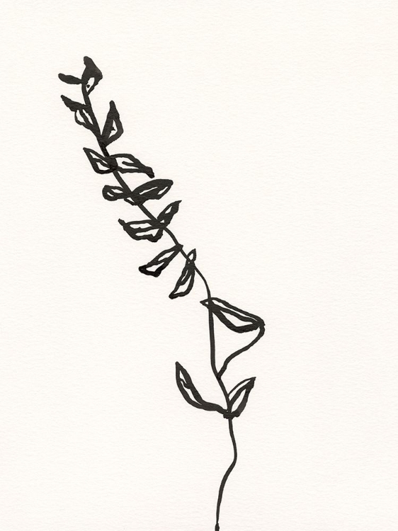 Picture of INK BOTANICAL SKETCH IX