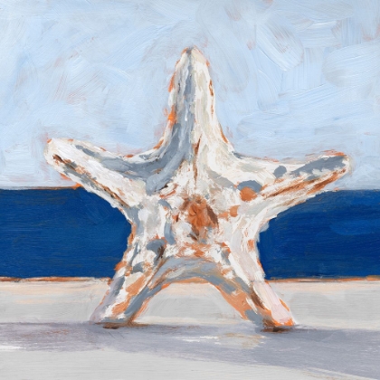 Picture of STARFISH BY THE SEA