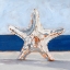 Picture of STARFISH BY THE SEA