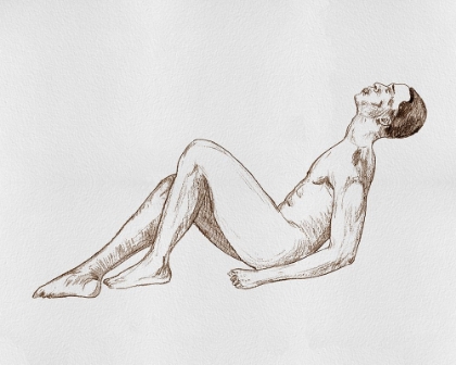 Picture of MALE BODY SKETCH IV