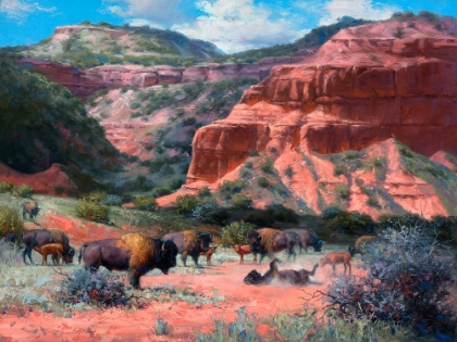 Picture of CAPROCK CANYON