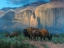 Picture of THE CLASSIC WEST