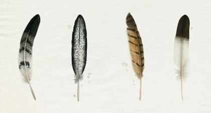 Picture of CUSTOM MERGED FOUND FEATHERS