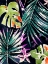 Picture of BRUSHY JUNGLE II