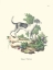 Picture of FRENCH DOGS VI