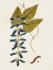Picture of EXOTIC BOTANICALS VIII