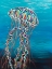 Picture of COLORFUL JELLYFISH I