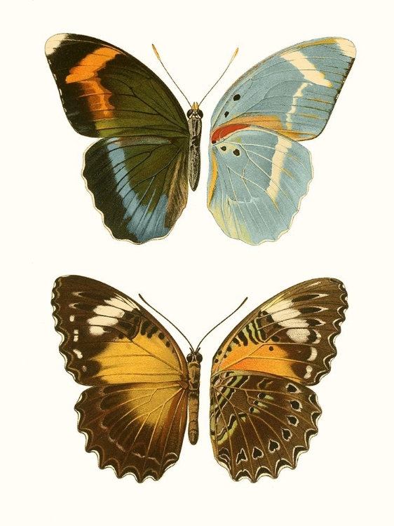 Picture of ANTIQUE BLUE BUTTERFLIES III