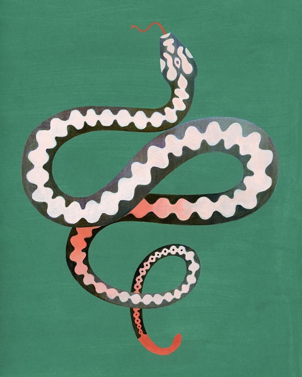 Picture of SERPENT SHAPES II