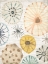 Picture of OCEAN URCHINS II