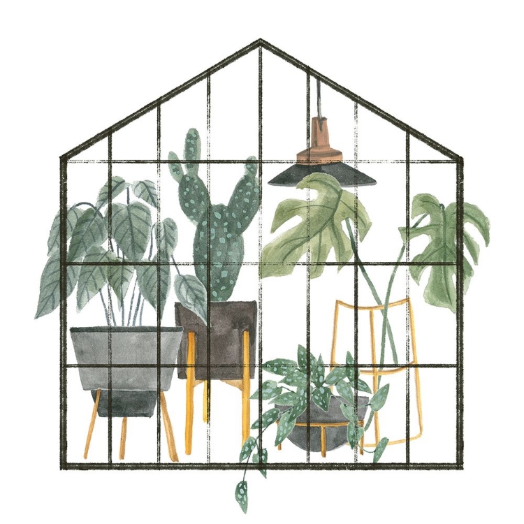 Picture of MY GREENHOUSE I