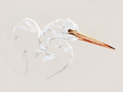 Picture of BRIGHT EGRET SKETCH I