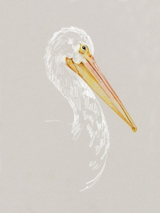 Picture of BRIGHT PELICAN SKETCH II