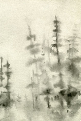 Picture of FOGGY PINE FOREST I