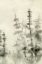 Picture of FOGGY PINE FOREST I