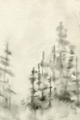 Picture of FOGGY PINE FOREST II