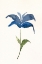 Picture of FLOWERET I