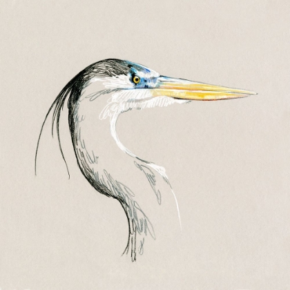 Picture of BRIGHT HERON SKETCH I