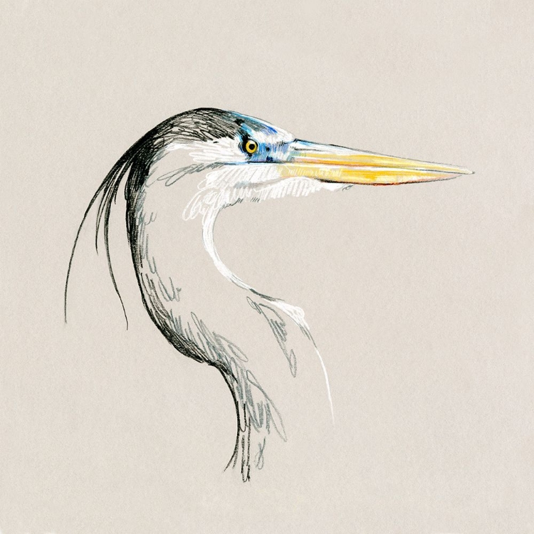 Picture of BRIGHT HERON SKETCH I