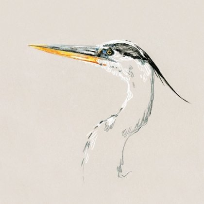 Picture of BRIGHT HERON SKETCH II