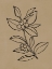 Picture of WINTER SPRIG I